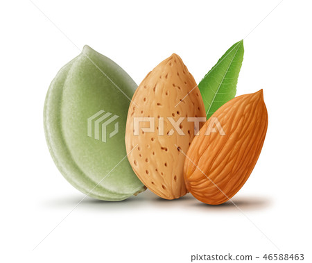 Almonds with leaf isolated on white background 46588463