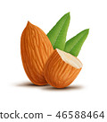 Almonds with leaves isolated on white background 46588464
