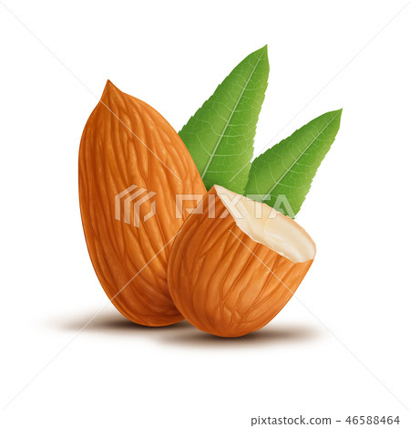 Almonds with leaves isolated on white background 46588464