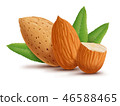 Almonds with leaves isolated on white background 46588465