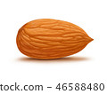 Almond isolated on white background 46588480