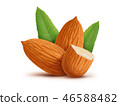 Almonds with leaves isolated on white background 46588482