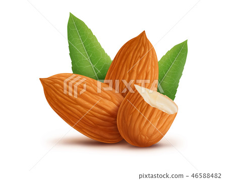 Almonds with leaves isolated on white background 46588482
