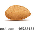 Almond isolated on white background 46588483