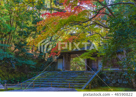 Kyoto Early Autumn Hodenin Sanmon 46590822