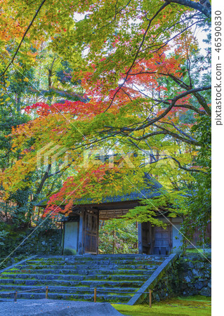 Kyoto Early Autumn Hodenin Sanmon 46590830
