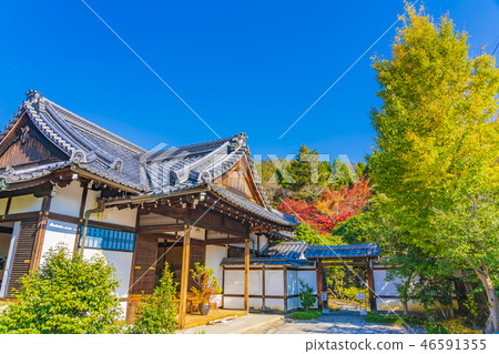 京都初秋 京都初秋 46591355
