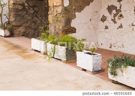 Green potted plants in beautiful pot outdoor 46591685