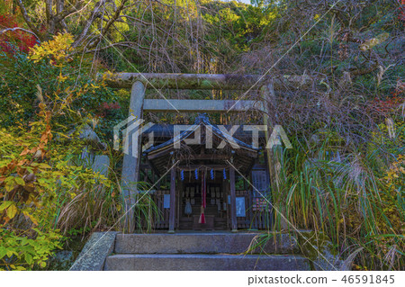京都Ootake神社 46591845