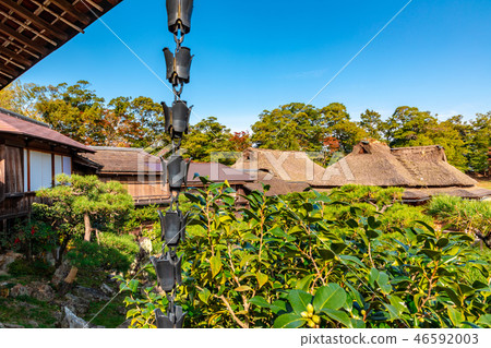 鏈碼 鏈碼 46592003