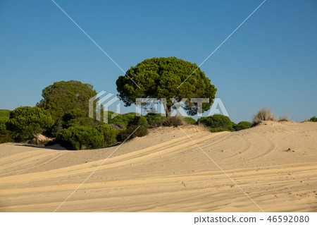 wheel marks in the sand and blue sky wheel marks in the sand and blue sky 46592080