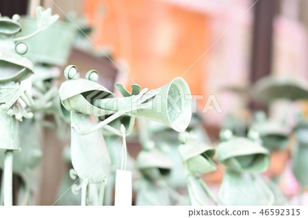 青蛙音樂節 46592315