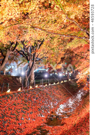 Maple tunnel in autumn of Kawaguchiko, Japan Maple tunnel in autumn of Kawaguchiko, Japan 46593728