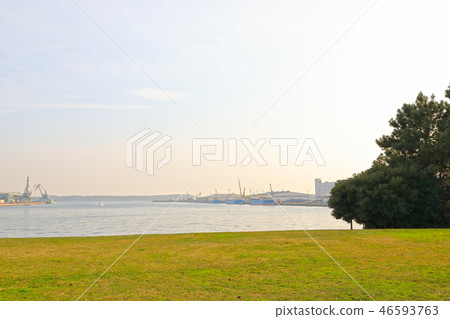 水上廣場公園 水上廣場公園 46593763