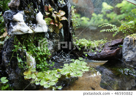 Aqua scape and terrarium  small glass aquarium 46593882