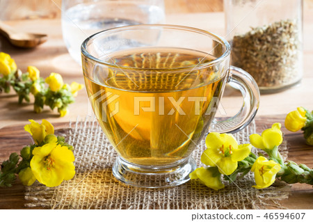 A cup of mullein (verbascum) tea with mullein A cup of mullein (verbascum) tea with mullein 46594607