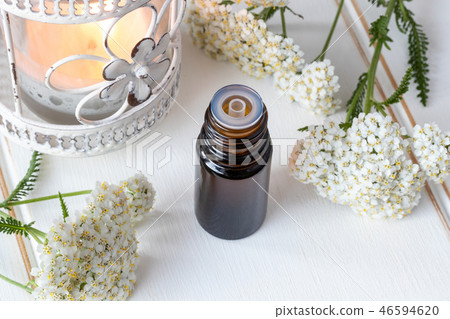 A bottle of essential oil with fresh yarrow A bottle of essential oil with fresh yarrow 46594620