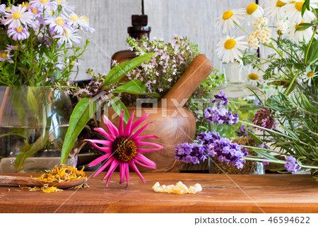 Echinacea, lavender, chamomile, yarrow and herbs 46594622