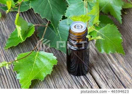 A bottle of essential oil with birch branches 46594623