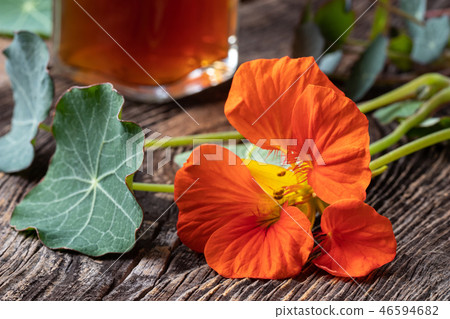 Fresh nasturtium flower with a bottle of tincture Fresh nasturtium flower with a bottle of tincture 46594682
