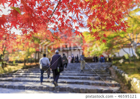 京都，秋天，Nison-in，秋葉巴巴 46595121