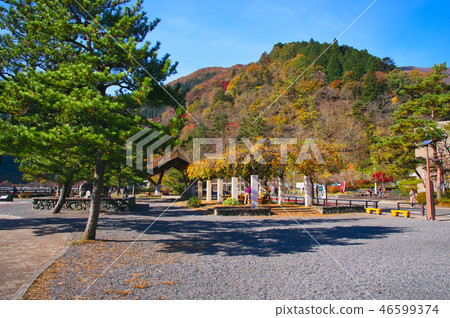 Autumnal leaves Okutama Lake 46599374