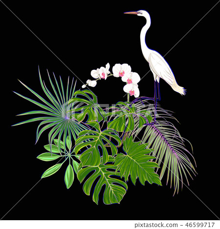A composition of tropical plants, palm leaves A composition of tropical plants, palm leaves 46599717