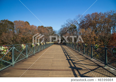 Funabashi Andersen Park Funabashi Andersen Park 46599864