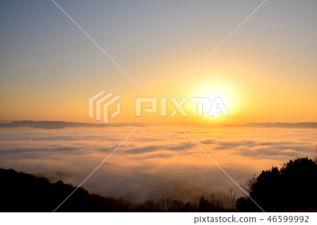 大撫山 大撫山 46599992