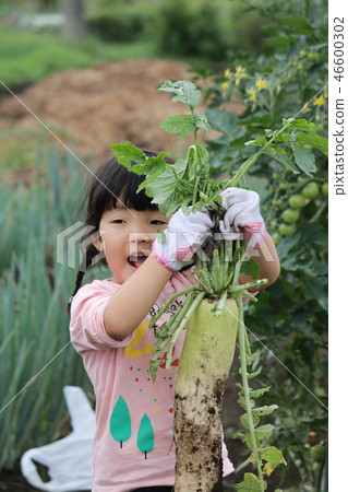 女孩在田野裡幫忙 女孩在田野裡幫忙 46600302
