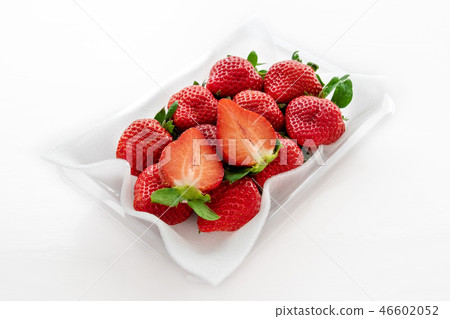 Duck stock photos 46602052