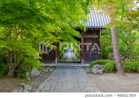 Hwanoji Sanmon early summer 46602369