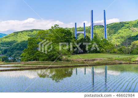 Valley of rice terrace and Tomei highway 46602984