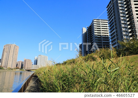 隅田川沿岸的自然和高層公寓 46605527