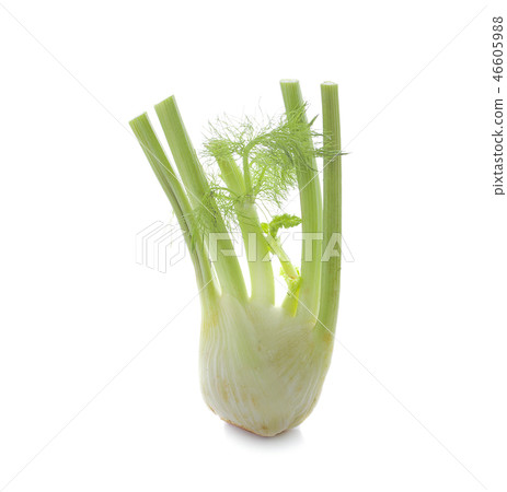 Fennel Bulb. Single fresh fennel bulb with leaves Fennel Bulb. Single fresh fennel bulb with leaves 46605988