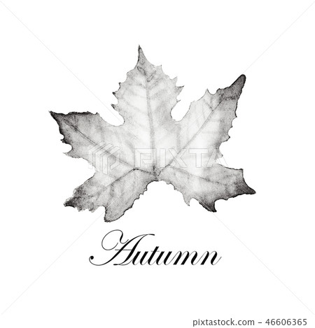 Video: How to Draw a Maple Leaf - wikiHow