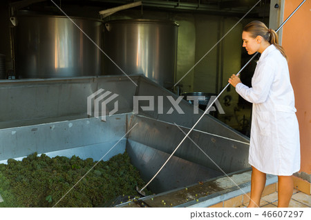 Female winemaker controlling crushing of grapes 46607297