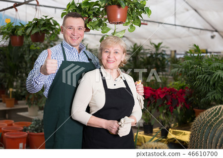 Adult woman and man are standing on their work place 46610700