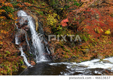 Immotional waterfall Aomori Immotional waterfall Aomori 46613637