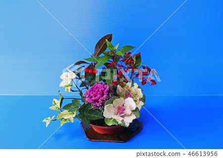 New Year planting New Year planting 46613956