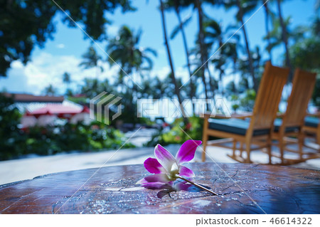 Resort hawaii 46614322