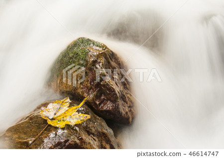 Waterfall detail with yellow leaf on wet stones Waterfall detail with yellow leaf on wet stones 46614747