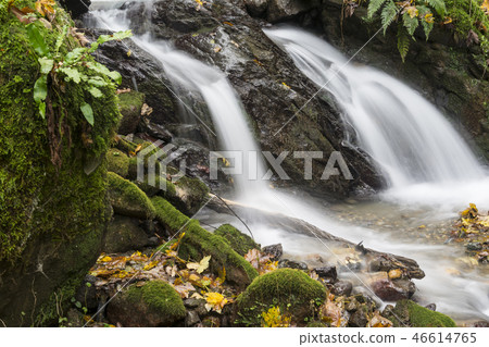 Waterfall at mountain river and orange leaves 46614765