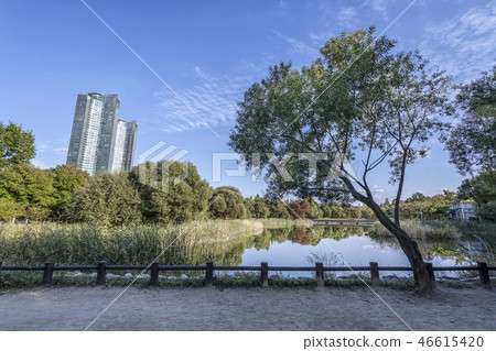 Pond, Building, Seoul Forest, Seongdong-gu, Seoul Pond, Building, Seoul Forest, Seongdong-gu, Seoul 46615420