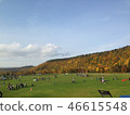 Fall of autumn 46615548