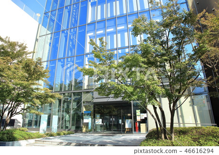 Shotoku大學松戶市 Shotoku大學松戶市 46616294