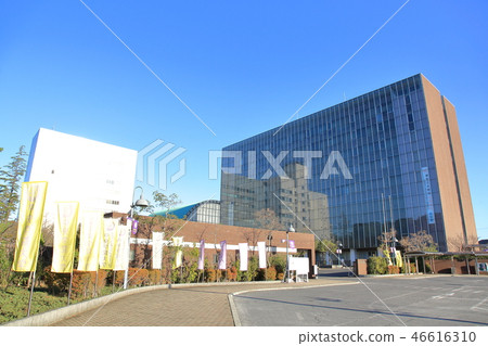 Chuo Gakuin University 46616310