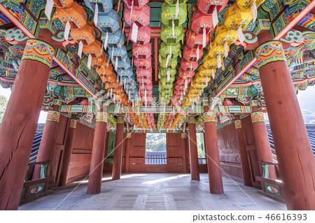 Yonpyeong，Gyeongun-ri，Cheongpyeongsa，Chuncheon，江原道 46616393