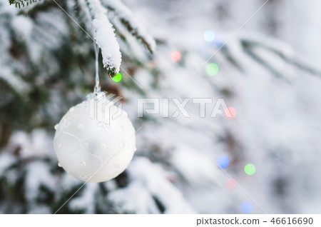 Close-up of a Christmas toy on a snow-covered lively tree in the winter forest on the background of Close-up of a Christmas toy on a snow-covered lively tree in the winter forest on the background of 46616690