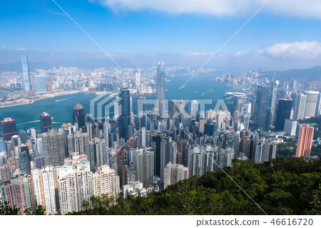 從香港太平山頂木板路的視圖 從香港太平山頂木板路的視圖 46616720